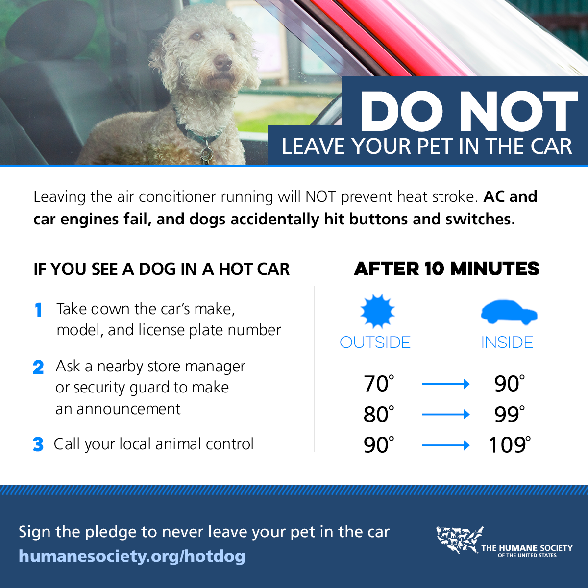 humaneworldorg's tweet image. Summer is in full swing and so is the heat.☀️ Don&apos;t leave pets in the car! Sign our pledge: bit.ly/2a2AQOj