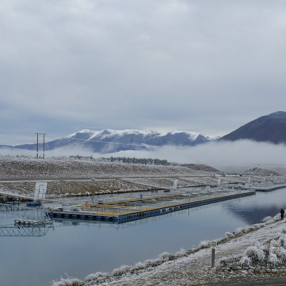 This is what salmon farming in New Zealand looks like