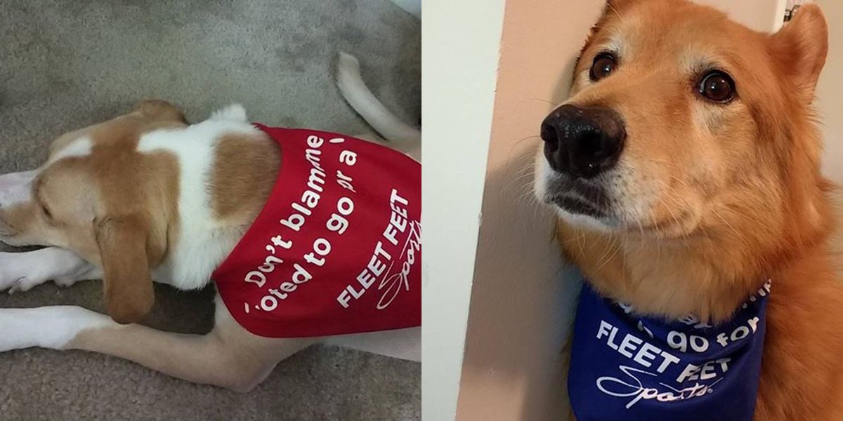 wch759's tweet photo. Get your #doggybandana at @FFMorrisville or @FleetFeetRal. 2$ of each purchase goes towards @SPCAwake https://t.co/iK6AzKdRSJ