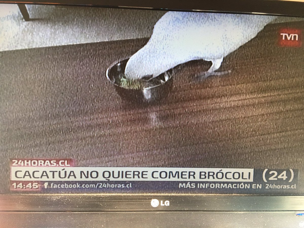 RodrigoCogler's tweet image. Las noticias de mi país! Bien Chile! Muy bien!