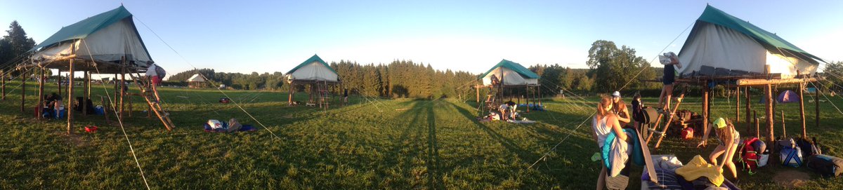 MarieMedGuides's tweet image. Et là, on peut dire qu&apos;elles sont installées ! 🙏🏼 #workhard #finicampagne #pilotis #constructions #canicule ☀️😴