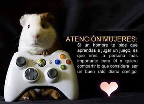 ClubMerodeador's tweet image. ¿Cierto?