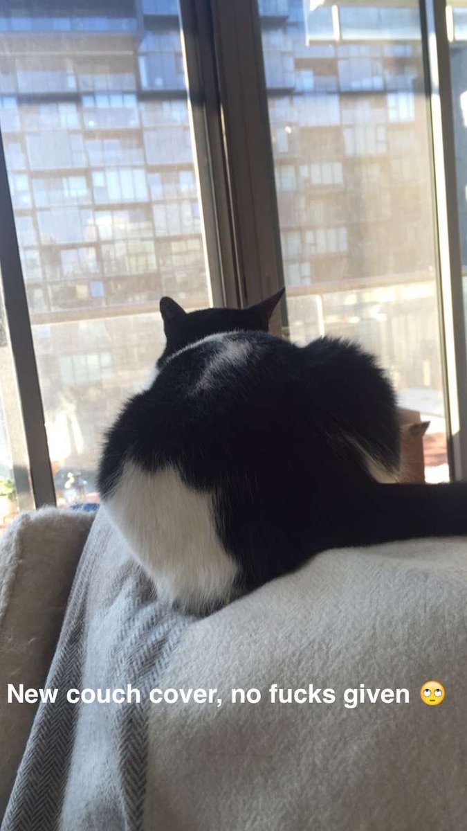 AdelaideKSource's tweet image. [PICTURES] New pictures uploaded on Adelaide&apos;s Snapchat story earlier [via sugarkane9 on Snapchat]