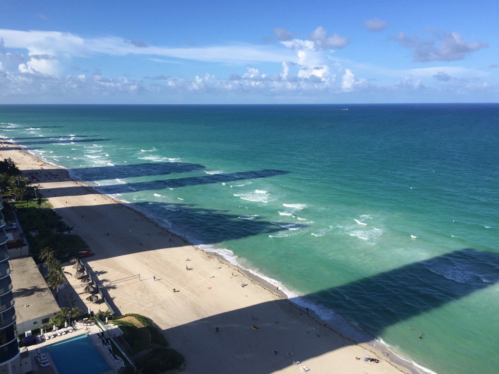 Deb_Edwards24's tweet photo. Goodbye Miami , it's been fantastic #WUCNetball2016
Well done to all players ππΌ https://t.co/k6XfH92KB7