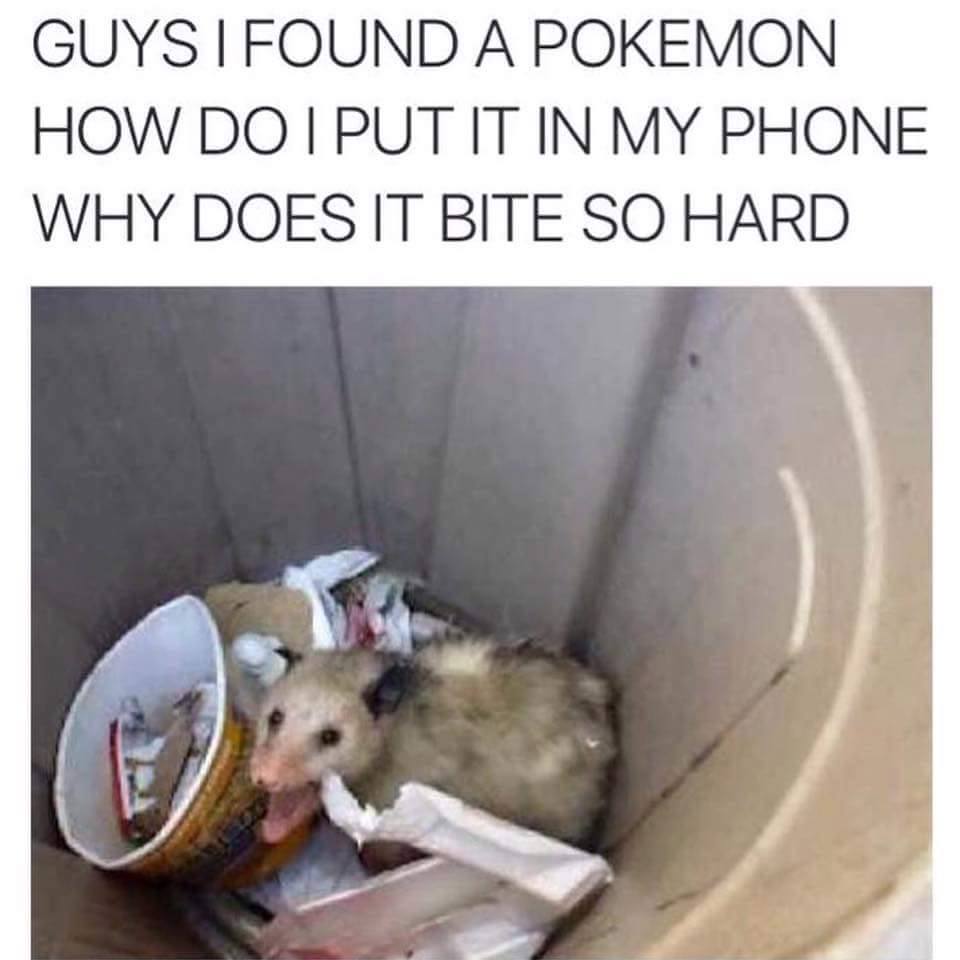 I threw all my pokeballs at Zubat.  I didn't know I could pick them up.  
Sad Panda.