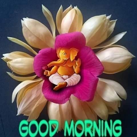 mtiwarioffice's tweet photo. GM🙏 @aamsr @NarsipKaur @frontiermail @SuperpariR @pragya_as @nsbchd @sanat397 @CM_P17 @YBISL @SodhiJin @greatairi https://t.co/HKUfQoFVjC