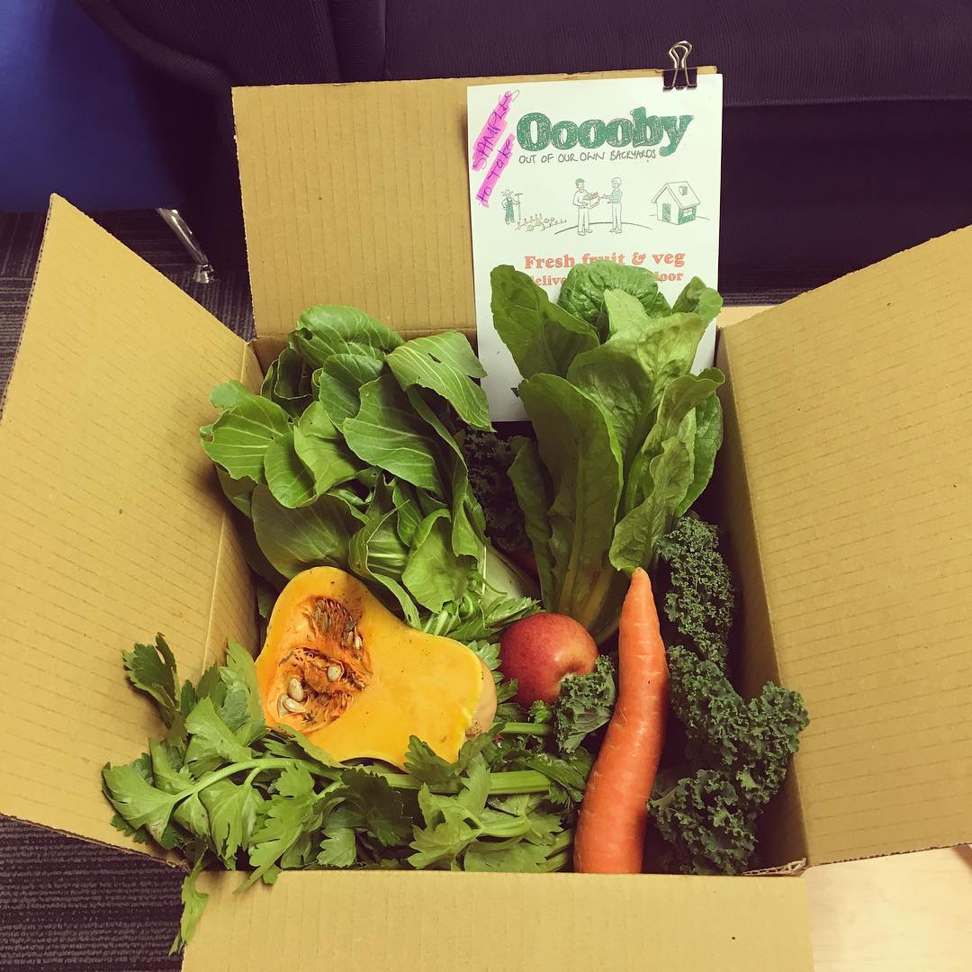 A big thank you to <a href="/oooobywaikato/">Ooooby Waikato</a> for the sample box for our lunch room! Look at all that goodness!!