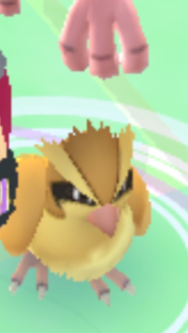 "Don't catch me or my son ever again"