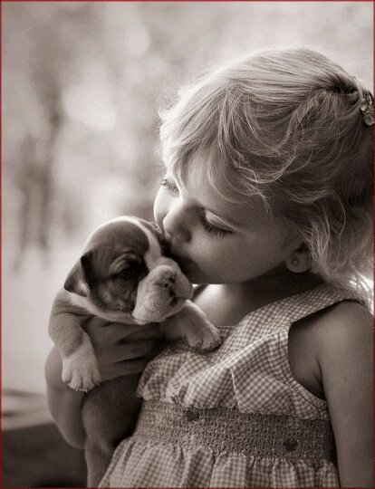 Thank you twitterworld for your RTs follows and likes, good night and sweet dreams ~~~~