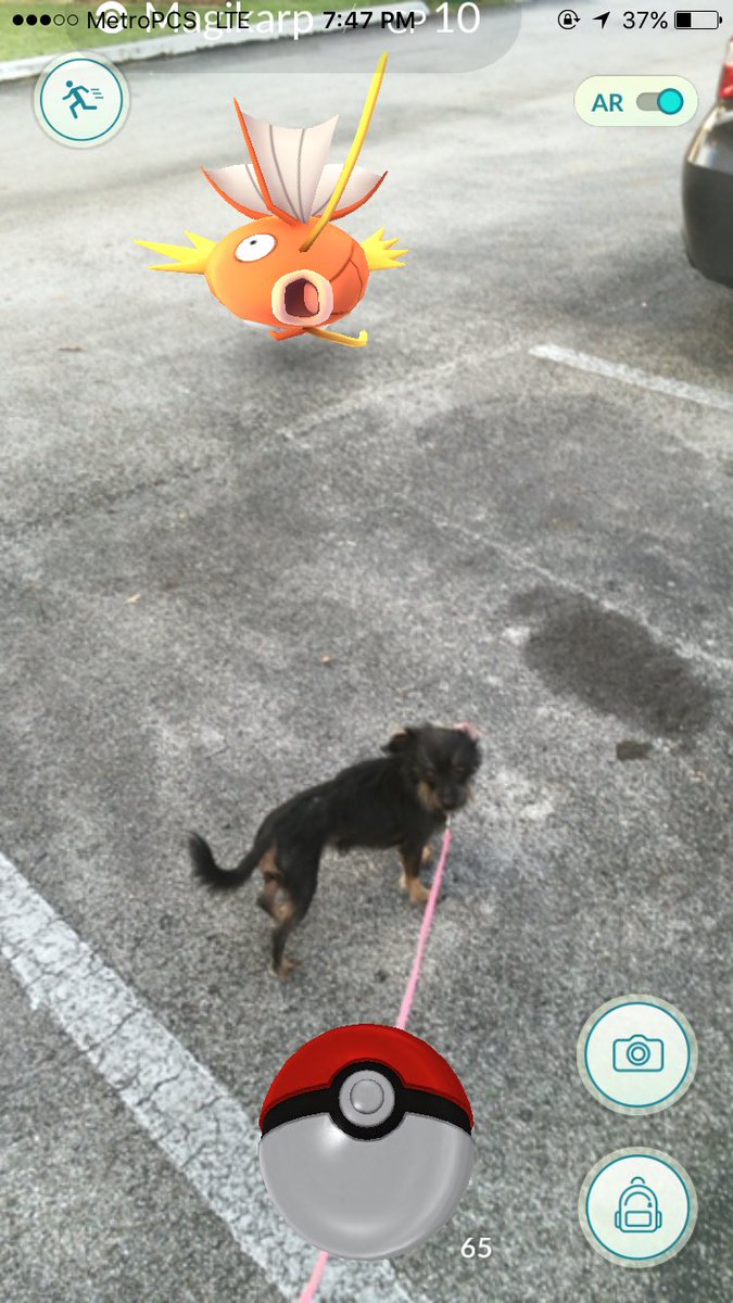 cindy_xob's tweet photo. We love Pokemon go https://t.co/0VD4ihvqKg