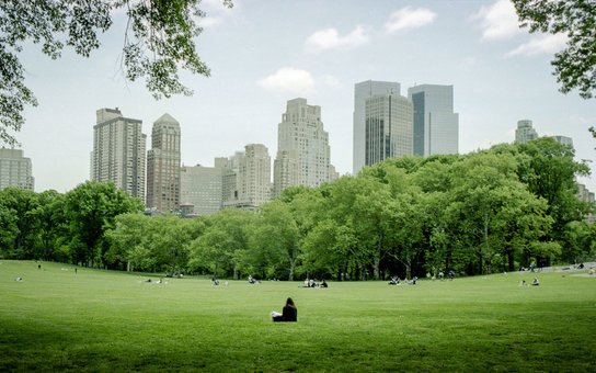 DigimonGoApp's tweet image. Rare Digimon Spawns at Central Park, Causes Subdued Mayhem