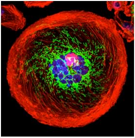 theNCI's tweet photo. What's new on NCI's websites? We have new #clinicaltrial resources, #CancerCloseUp, &amp; more: https://t.co/4GGhTLJkGQ https://t.co/fyidIRkypw