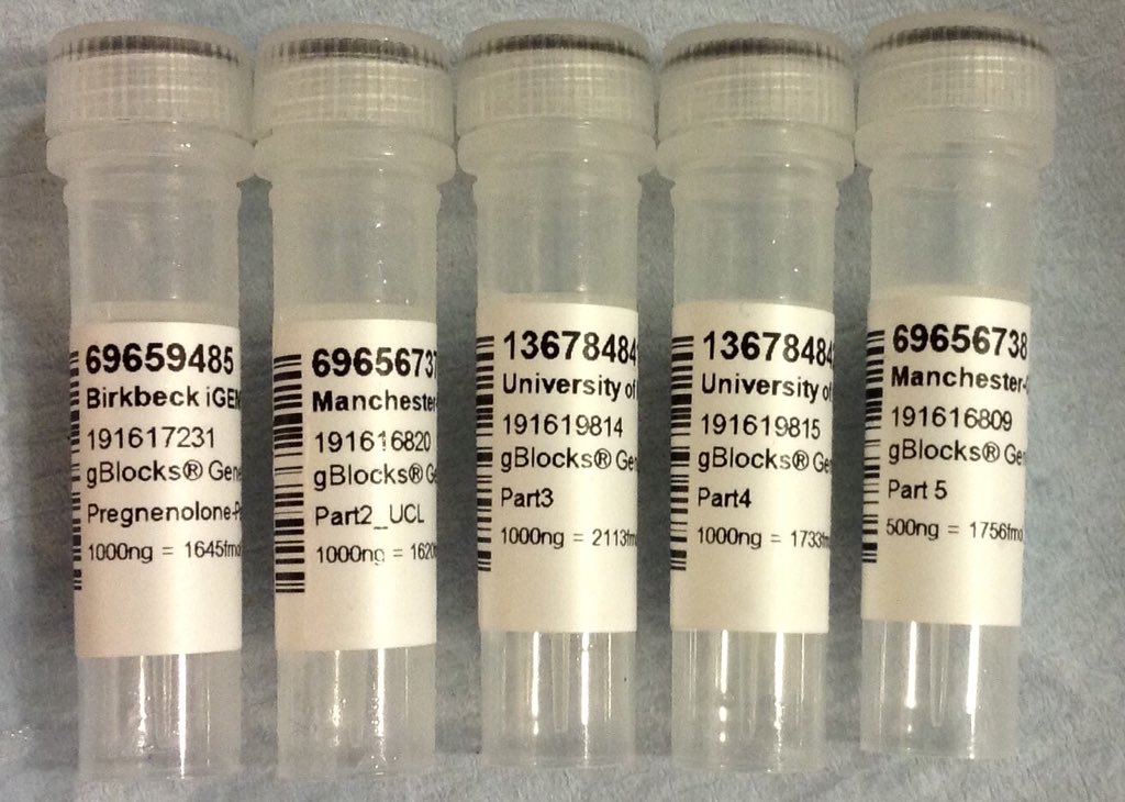 GenePlumber's tweet photo. Best #CompositeBioBrick nominee #iGEM2015 @ymyashmishra can @UCLiGEM go one further this year? #syntheticbiology https://t.co/tRgGvi3BLv