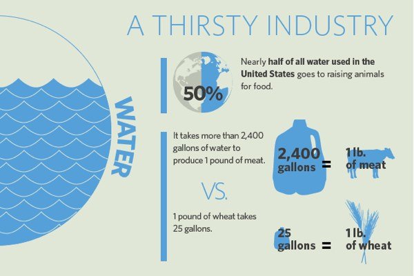 wrobertsfood's tweet photo. WOW! 1 Pound Of Beef Takes 96X More Water Than 1lb Wheat! https://t.co/3jzKbhIW6d #vegan #vegetarian #MeatlessMonday https://t.co/e3oF6x21ij
