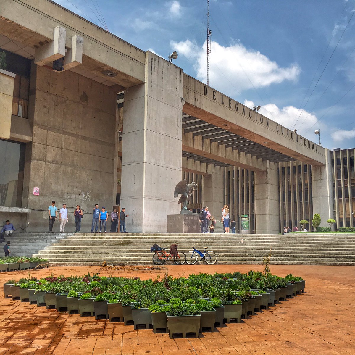 JavierH_DGA's tweet image. Late con fuerza #CorazónDeMéxico en @E_CuauhtemocMX ... &amp;lt;3 . @RicardoMonrealA . #HuertosUrbanos  . @efectoverde .