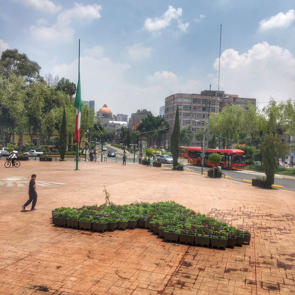 JavierH_DGA's tweet image. Late con fuerza #CorazónDeMéxico en @E_CuauhtemocMX ... &amp;lt;3 . @RicardoMonrealA . #HuertosUrbanos  . @efectoverde .