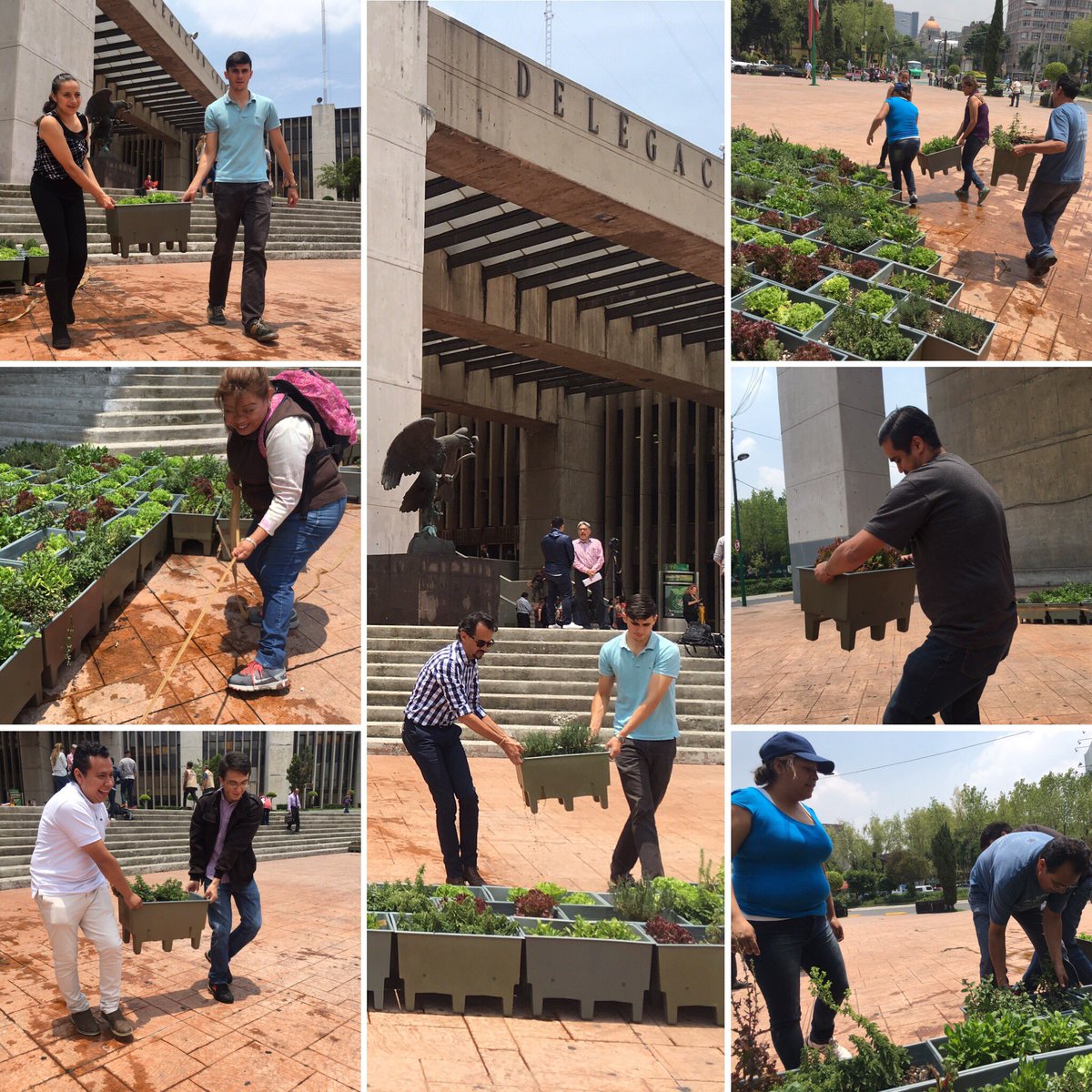 JavierH_DGA's tweet image. Late con fuerza #CorazónDeMéxico en @E_CuauhtemocMX ... &amp;lt;3 . @RicardoMonrealA . #HuertosUrbanos  . @efectoverde .