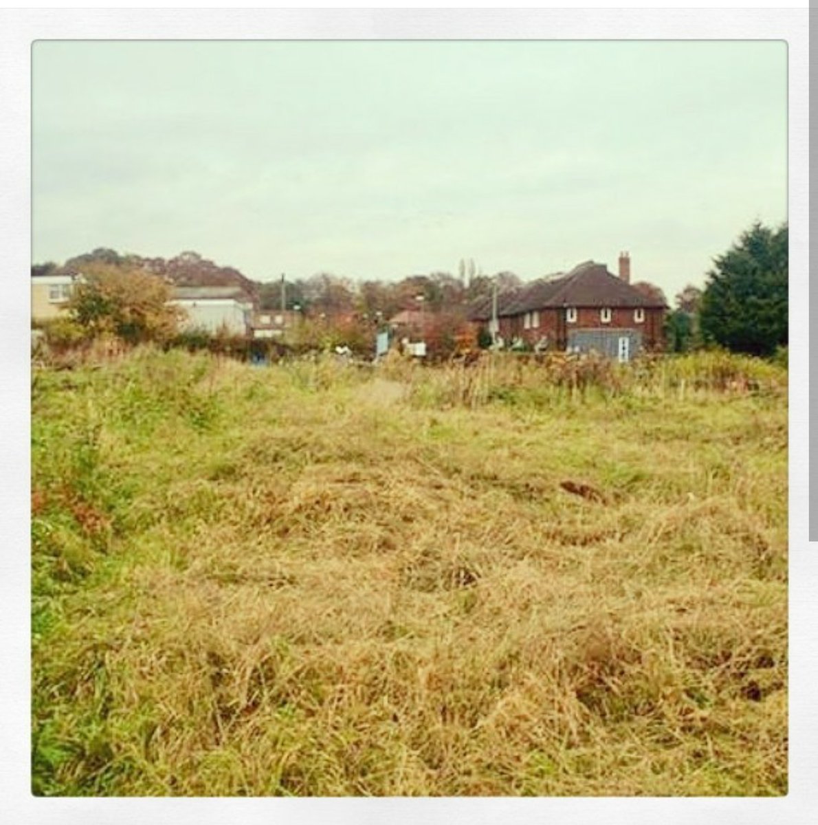 It's crazy to think this was once the community garden, now it's full of veg and fruits #leeds #kirkstall #letsgrow