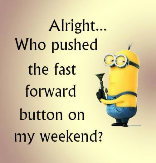 Brake_Experts's tweet photo. Happy Monday Everyone! - #Mondays #HappyMonday #MondayHumor https://t.co/JNWvzKnfma