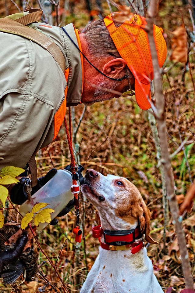 SportDOGBrand's tweet photo. How to Maintain Hydration in Bird Dogs: https://t.co/Hj7ftj44Yf via @pheasants4ever &amp; @Purina. Photo by @RGS_AWS https://t.co/lETn4mxCvR
