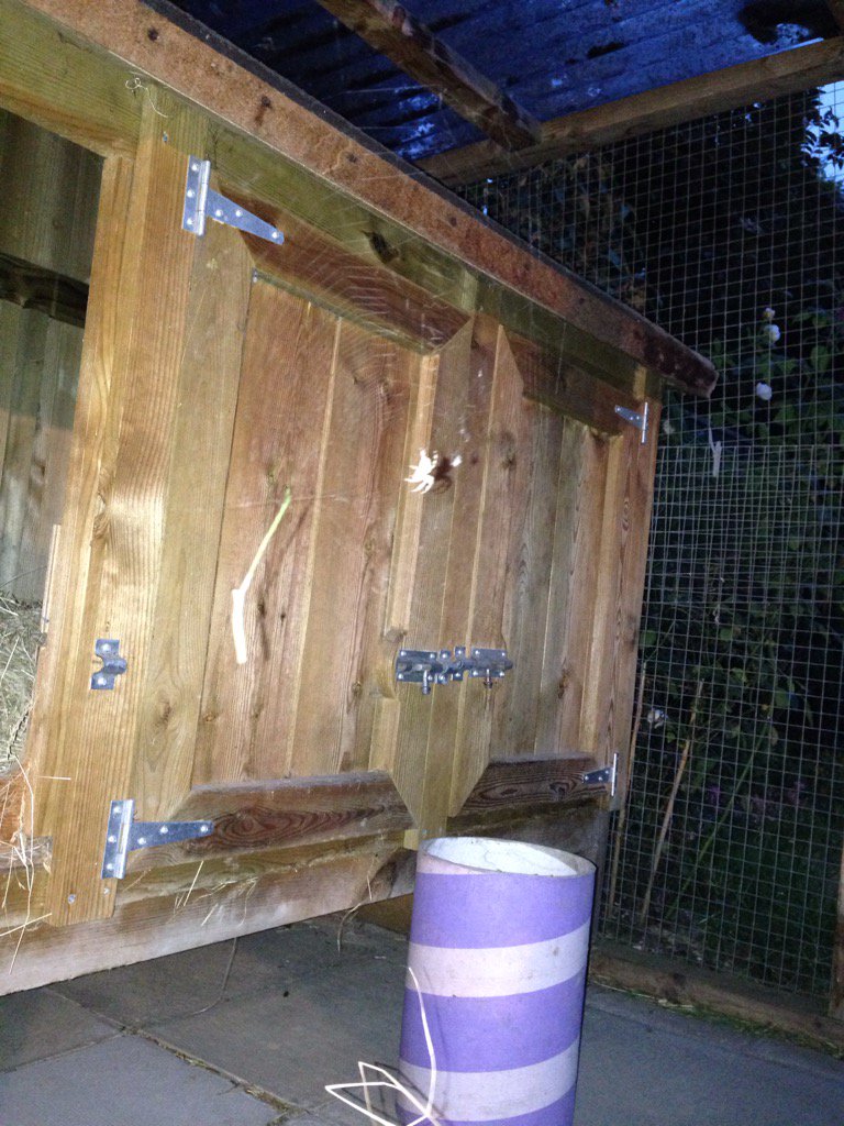 SplodgeAndLilo's tweet photo. YOU. SHALL NOT. PAAAAAAASSSS!!!!
Nico now has guard spiders for his hutch https://t.co/ig1Nj4f7WC