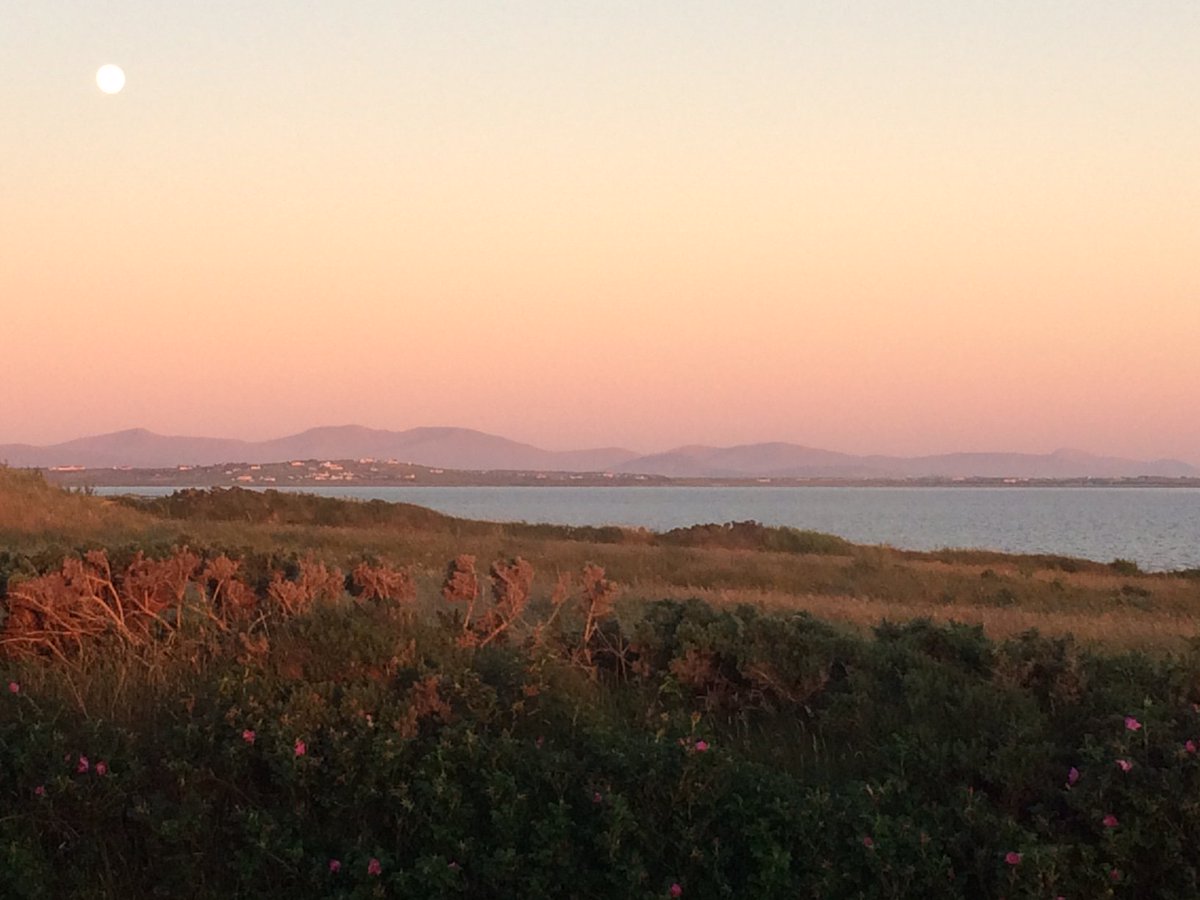 Erris Beo tweet media