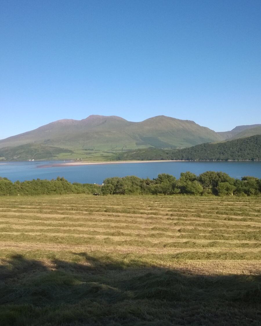 Aoife Dowd tweet media