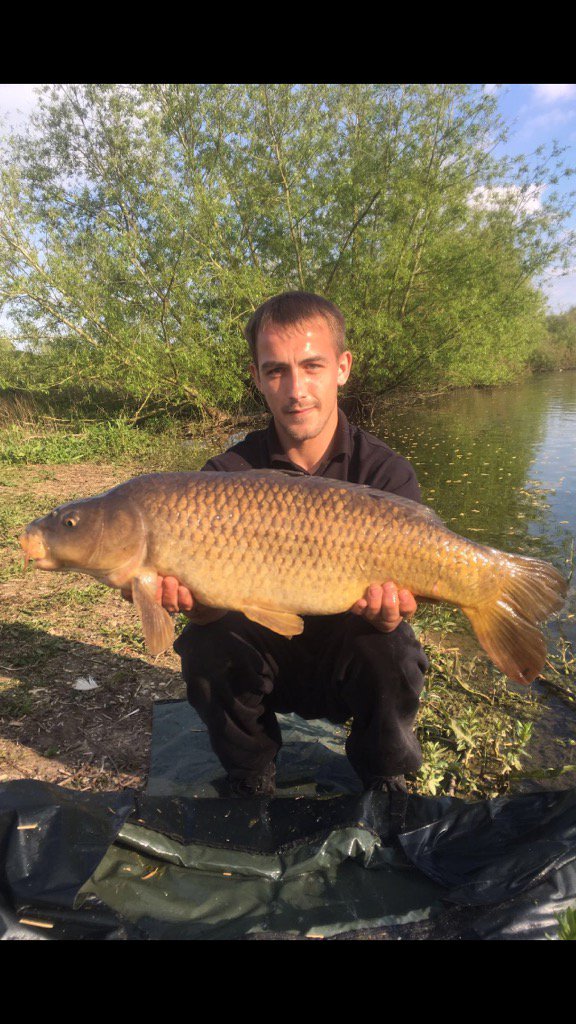 sam23myfishing's tweet photo. #willowslakes #commoncarp #16lb #wearingblackonahotday #sweating https://t.co/y3P6aYAbkg