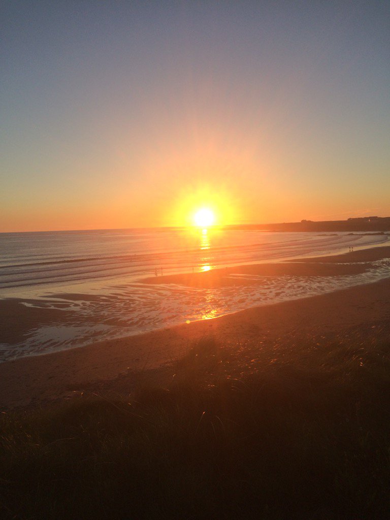 Nevis Hogan tweet media