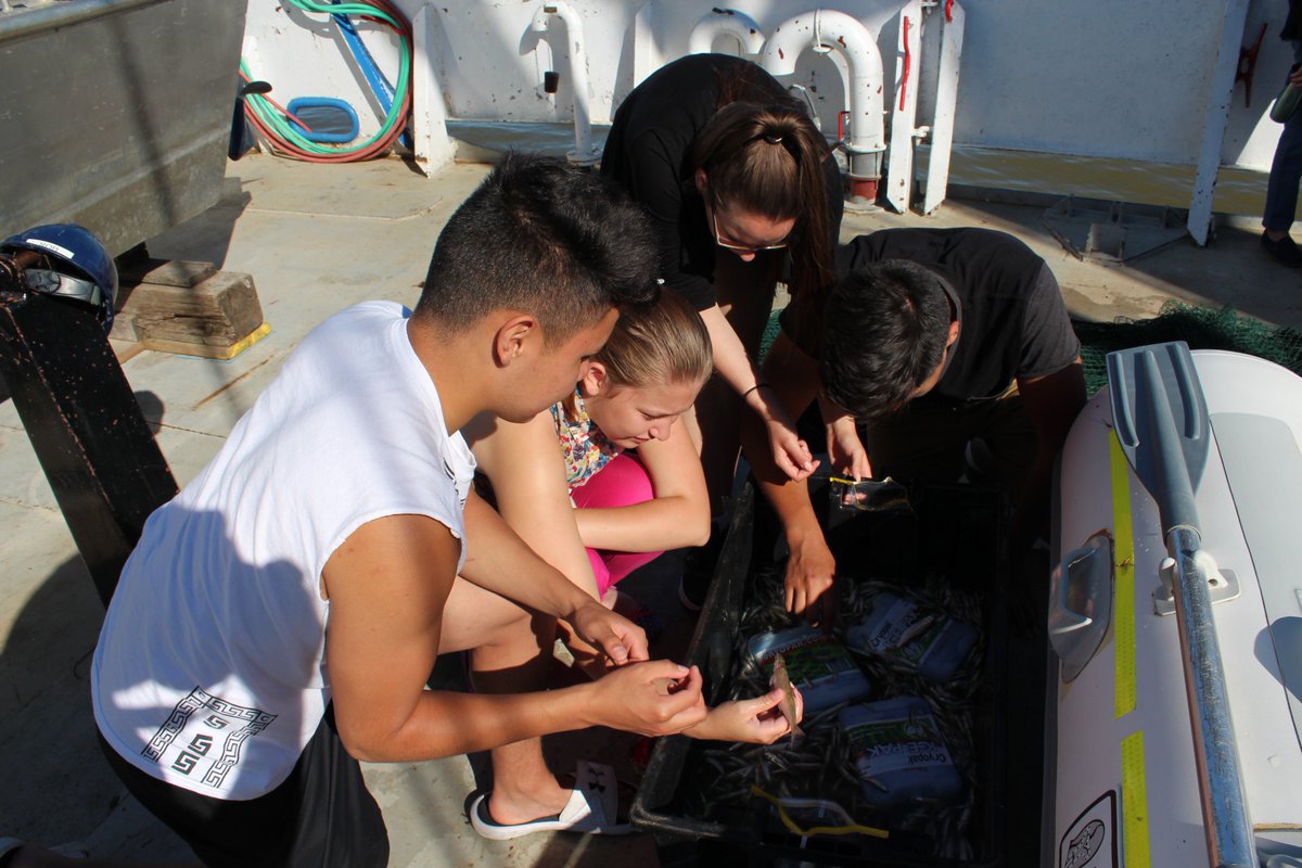 tecvoccls's tweet image. A view of the research on Lake Winnipeg from the deck of the Nameo. #tecvoc #canlightsource
