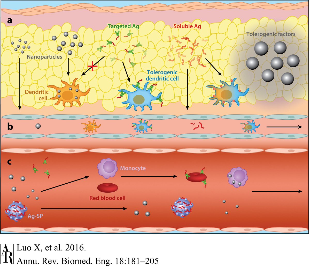 ebook phosphodiesterase