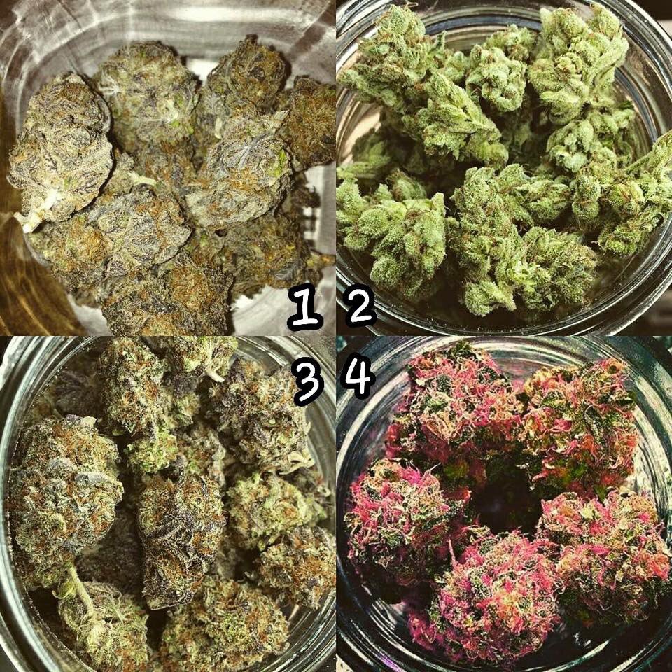 WorldOpenMinds's tweet photo. ¿Cuál prefieren?😍
 #Cannabis #Marihuana #Cuatroveinte 
✖️OpenMinds✖️ https://t.co/KzoADoLAoq
