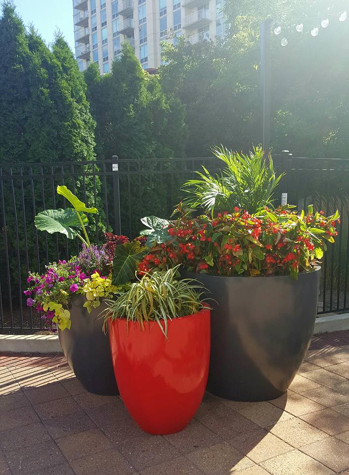 LCM_CurbAppeal's tweet photo. Check out the new #containers and #plants at Church Street Plaza. https://t.co/FvWf1c9C5l
