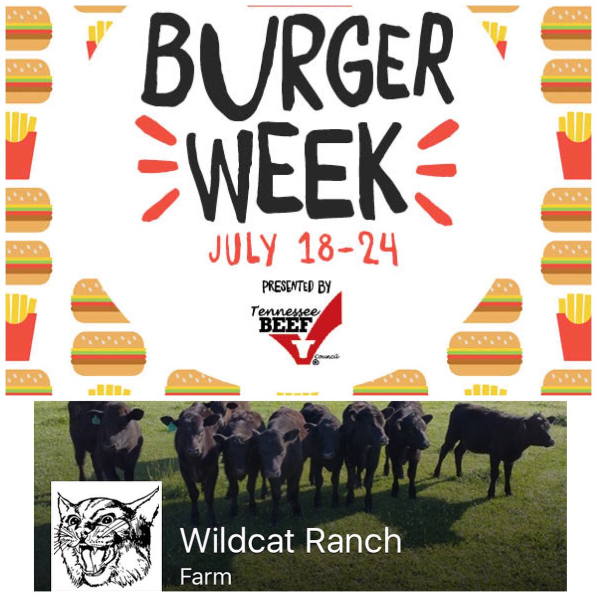 Stop by the market Wednesday!David of Wildcat Ranch has 85/15 or 90/10 grassfed burgers! #grassfed #hickmancotn