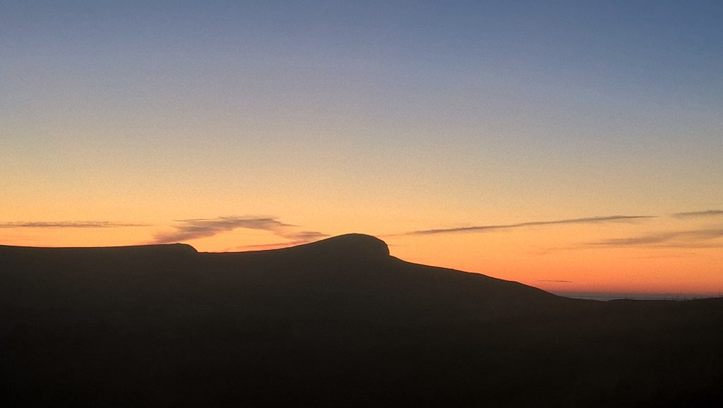 Pádraig McCann tweet media