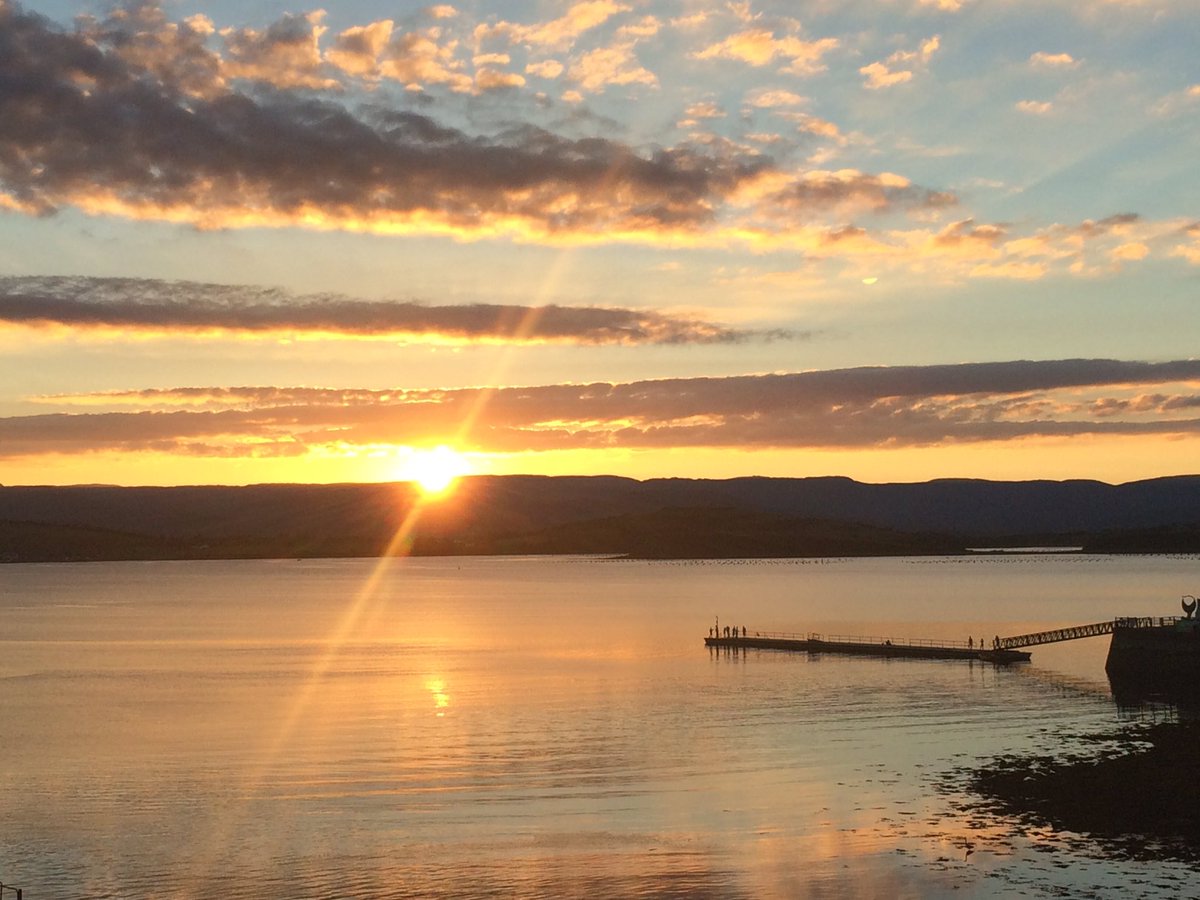 Gillian McNamara tweet media