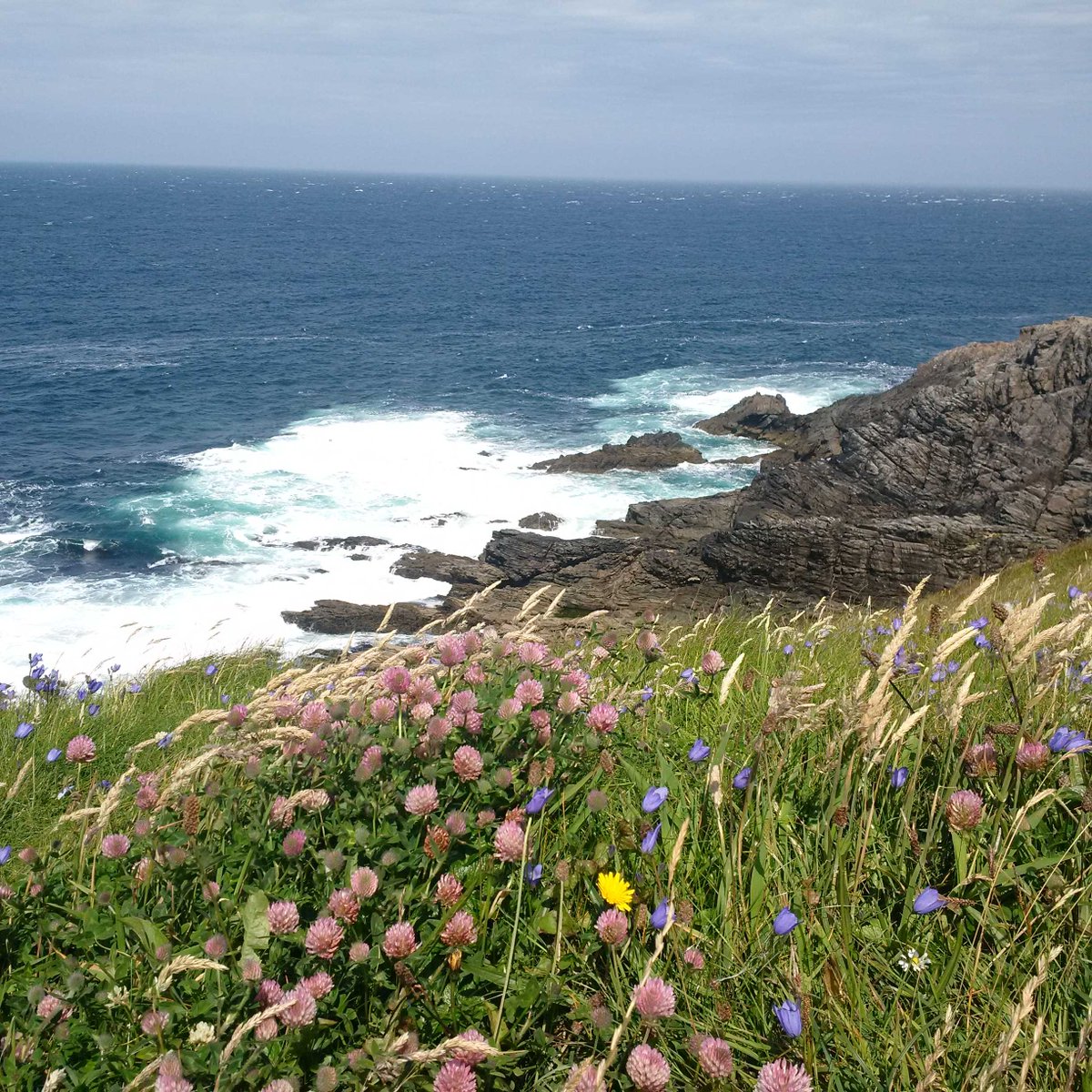 Dr John G Hughes tweet media