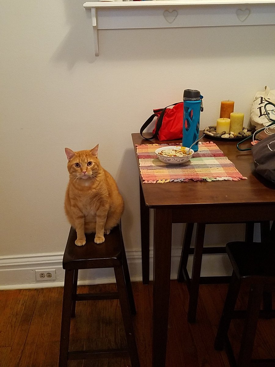 comeroundfullO's tweet image. What&apos;s wrong with this picture? #sobie #CrackCat