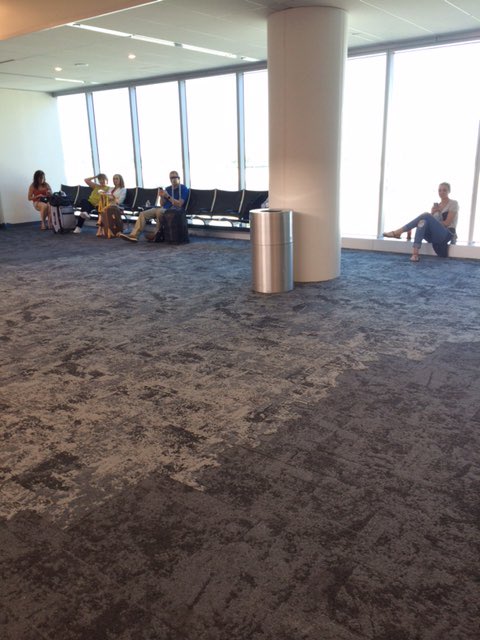 BuildingBrandon's tweet photo. Gotta love Net Effect Collection🌊🐠🐟🐬🐳! #interfacecarpet #beautifulthinking https://t.co/YCWdtyX1k8