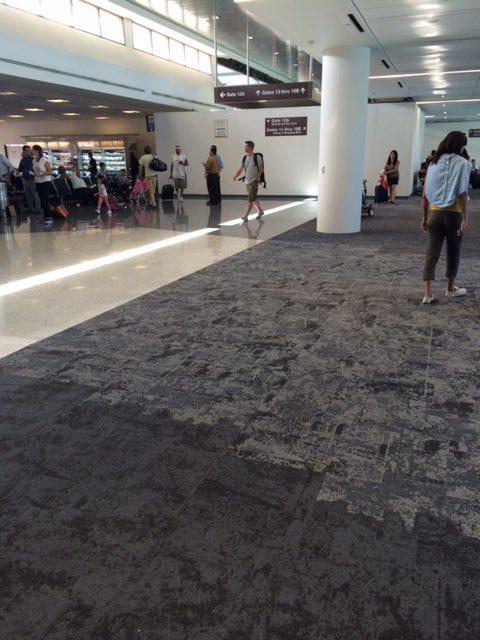 BuildingBrandon's tweet photo. Gotta love Net Effect Collection🌊🐠🐟🐬🐳! #interfacecarpet #beautifulthinking https://t.co/YCWdtyX1k8