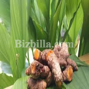 BizbillaB2B's tweet image. Need #CurcuminExtract ?
#Buy from #AmbeNsAgroProductsPrivateLimited via @BizbillaB2B 
&amp;lt;&amp;gt; bit.ly/29RiAnH