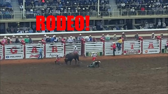 thandadownunda's tweet photo. New VLOG! #yycvlogger #yycyoutuber #canadianyoutuber #vlogger #vlog #youtuber #rodeo https://t.co/OPHZEwldji https://t.co/wGGQnmB01Y