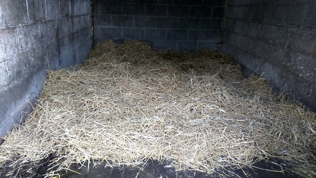 AshleyTitty90's tweet photo. Horses stables all clean n ready for them tomorrow xx relax n sleep up early xx #horselove https://t.co/QBK2FSJzfQ