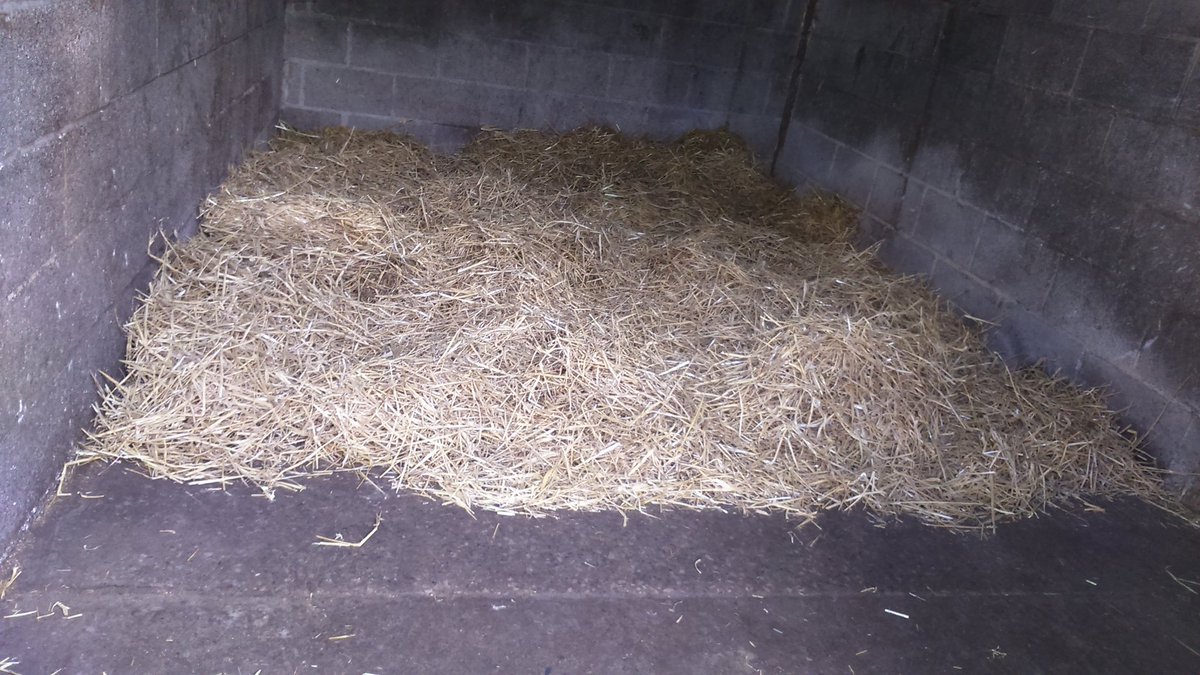 AshleyTitty90's tweet photo. Horses stables all clean n ready for them tomorrow xx relax n sleep up early xx #horselove https://t.co/QBK2FSJzfQ