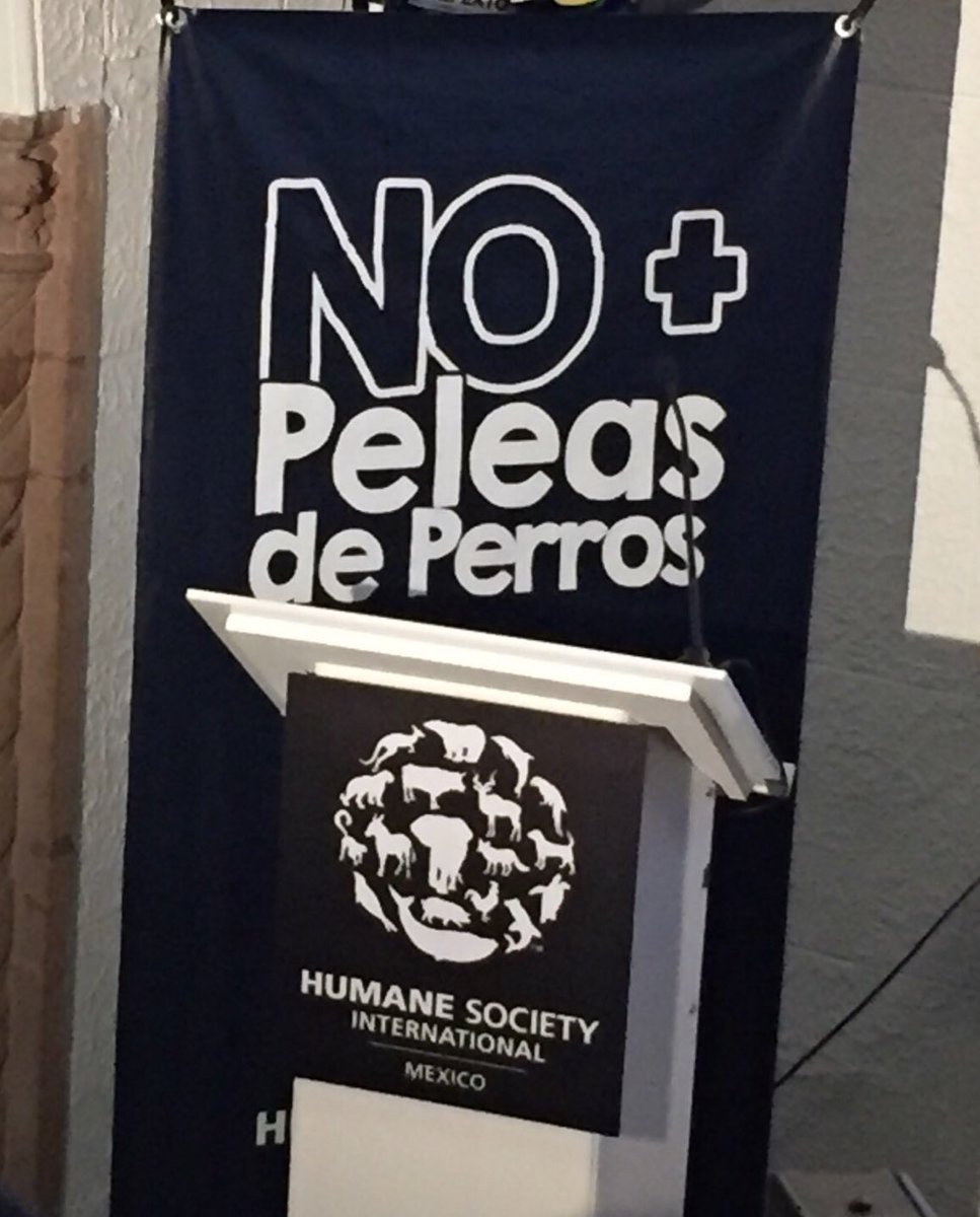 Consejo Prot. Animal tweet media