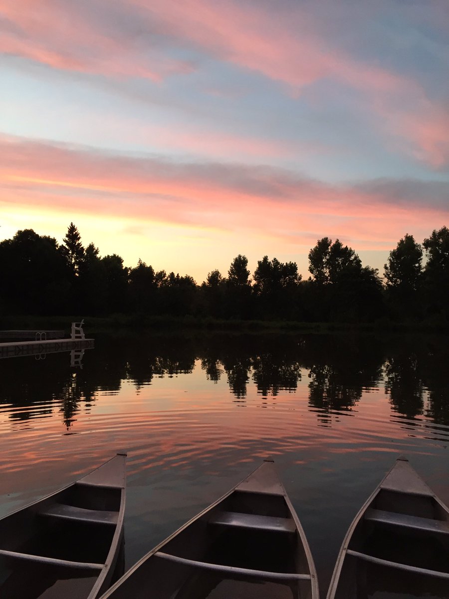 _allison02's tweet image. obsessed with camp