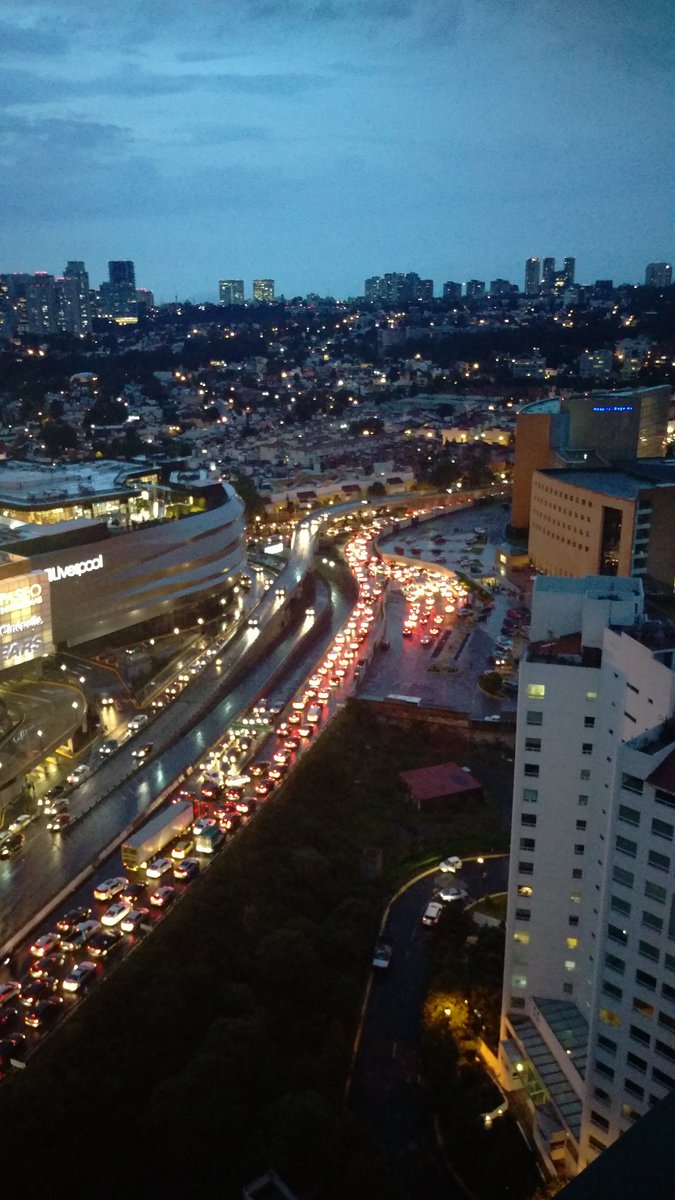 viridiana salame tweet media