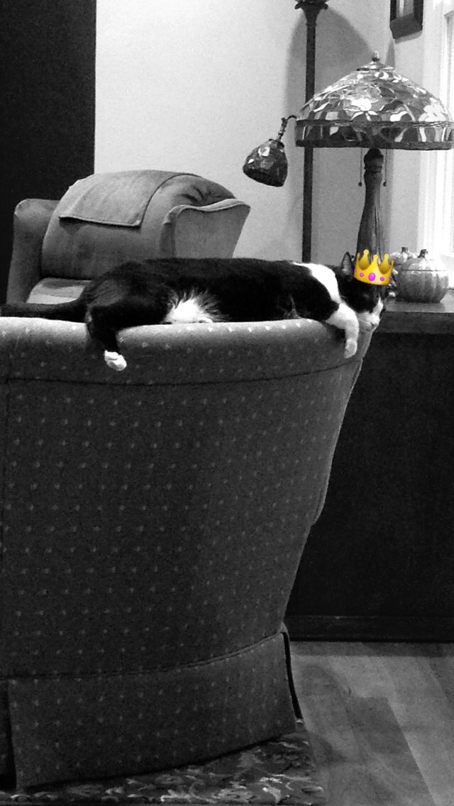 My tiniest baby Lola is 3 today💕