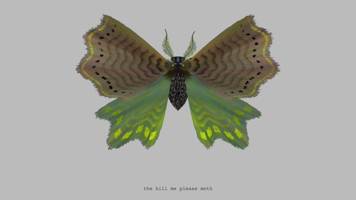 <a href="/MysteriousThorn/">Abi Rose</a> the kill me please moth