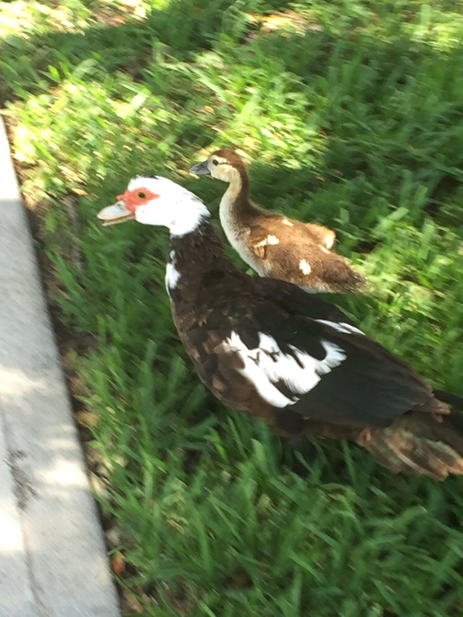 Check out the cute freshman touring campus with their mum.